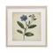 Stupell Industries Vintage Blue Blossoms Wildflower Framed Print Under Glass, design by Petal Prints Design